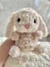 JELLYCAT英國甜美小兔安撫玩偶Yummy兔毛絨玩具公仔布娃娃女禮物  15厘米 米色甜美小兔 曬單實(shí)拍圖