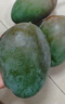 京鮮生 攀枝花凱特芒 凈重8.5斤 帶箱9斤 單果600g+ 生鮮水果 源頭直發(fā) 曬單實(shí)拍圖