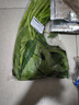 空心菜 300g 曬單實拍圖