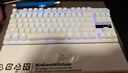 雷蛇（Razer）獵魂光蛛v3專業(yè)版系列 電競游戲機(jī)械鍵盤辦公便攜鍵盤 第二代雷蛇模擬光軸可調(diào)節(jié)觸發(fā) 獵魂光蛛V3專業(yè)競技版-模擬光軸白色(87鍵) 曬單實(shí)拍圖