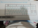 惠普（HP）GK200機(jī)械鍵盤(pán)有線(xiàn)辦公游戲鍵盤(pán) 20種背光燈效 87鍵電競(jìng)鍵盤(pán)鼠標(biāo)套裝電腦外設(shè)鍵鼠 側(cè)刻黑莓粉【青軸】白光 曬單實(shí)拍圖