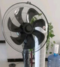 鉆石牌落地扇【1級(jí)能效+直流變頻+純銅電機(jī)】家用電風(fēng)扇機(jī)輕音搖頭扇強(qiáng)勁風(fēng)力智能語(yǔ)音遙控DFS-ZFR07 曬單實(shí)拍圖