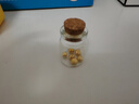 百德金投資金暴富小金豆黃金AU9999實(shí)心足金豆子理財(cái)儲(chǔ)值送生日禮物收藏 1g(帶證簽）送瓶子 曬單實(shí)拍圖