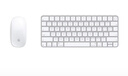 Apple/蘋果【USB-C端口 鍵鼠套裝】含白色妙控鼠標(biāo)+白色帶觸控ID妙控鍵盤 適用MAC/iPad 曬單實(shí)拍圖
