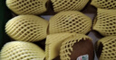 佳沛（zespri）綠奇異果 優(yōu)選大果12粒單果約113-135g  水果禮盒 獼猴桃 曬單實(shí)拍圖
