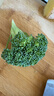 密水農(nóng)家新鮮西蘭花 本地自種花菜 時(shí)令蔬菜西藍(lán)花 350g 曬單實(shí)拍圖