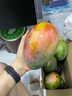京鮮生 攀枝花凱特芒果 凈重7.5斤 單果400g+ 生鮮水果 源頭直發(fā) 曬單實拍圖