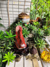 菲斯鉑亞南非紅碧玉擺件公司喬遷擺件石來(lái)鴻運(yùn)奇石精品自然石原石帶底座 紅碧玉013號(hào) 曬單實(shí)拍圖