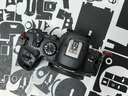 佳能（Canon）EOS R6 Mark II 新標準全畫幅微單數(shù)碼相機R6二代 單機身 （約40張每秒連拍/6K超采樣4K短片） 曬單實拍圖
