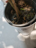 植男植女孟加拉榕大型綠植盆栽客廳室內(nèi)大花盆黃金榕落地橡皮樹源頭直發(fā) 曬單實拍圖
