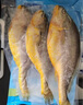 海名威 冷凍黃花魚700g/2條 寧德大黃魚地標(biāo) 海鮮水產(chǎn) 生鮮魚類  曬單實拍圖