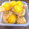 桃西村東北姑娘果【順豐可選】菇?jīng)龉麩艋\果黃菇娘姑鳥小金豆新鮮水果 9斤 精選果【單果7-9g】順豐 曬單實(shí)拍圖