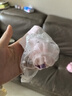 Hello Kitty庫(kù)洛米女童抗菌襪子25春夏款薄款網(wǎng)眼純棉防臭襪兒童花邊白色短襪 庫(kù)洛米【7a抗菌】 4雙 均碼 16-18cm/適合4-6歲 曬單實(shí)拍圖