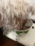 ZEALZEAL0號罐全價無谷犬罐頭390g混合裝雞牛羊鹿隨機發(fā)貨 曬單實拍圖
