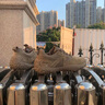 Jeep吉普男鞋2025夏季新款真皮透氣休閑運(yùn)動(dòng)鞋男戶外登山防滑潮鞋子男 卡其色(運(yùn)動(dòng)碼） 41 (255mm) 曬單實(shí)拍圖