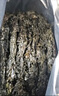 金唐 霞浦紫菜100g  福建特產(chǎn) 海產(chǎn)干貨干貝海帶蝦皮蛋花煲湯涼拌食材 曬單實(shí)拍圖