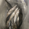 京喜加鮐鲅魚(yú)青占魚(yú)青魚(yú)新鮮冷凍鲅魚(yú)青花魚(yú)整條鮐魚(yú)深海捕撈海鮮魚(yú)類 8斤【大規(guī)格】鮐鲅魚(yú)150-200g/條 曬單實(shí)拍圖