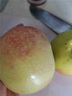 哆莫香遼寧國光蘋果 東北特產(chǎn)新鮮小國光蘋果當季孕婦水果甜心蘋果整箱 優(yōu)選老樹果3斤【無禮盒】 曬單實拍圖