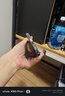 榮耀Magic6 至臻版 二手5G手機(jī) 單反級超動態(tài)鷹眼相機(jī) 第三代驍龍8 巨犀玻璃 拍照AI手機(jī) 墨巖黑 16GB+512GB【電池效率98-100】 99新 曬單實拍圖