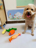 HELLOJOY狗狗玩具耐咬磨牙幼犬狗狗毛絨發(fā)聲自嗨解悶神器中小型犬寵物用品 曬單實(shí)拍圖