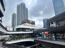 得力考試墊板學生寫字專用透明墊板EVA軟墊板中考書寫墊板A4塑料墊板兒童繪畫寫作業(yè)墊紙板A3硅膠墊板 【升級加厚透明】A3/透明（可進考場） 曬單實拍圖