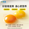 黃天鵝可生食雞蛋 20枚/2.12斤禮盒裝 生鮮雞蛋京東自營(yíng) 無(wú)抗生素 曬單實(shí)拍圖