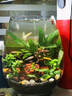 boxtech魚缸燈led燈迷你夾燈水族魚缸造景專用小型水草孔雀金魚照明燈 3W小型魚缸專用燈-L01 曬單實拍圖