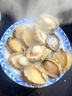 鮑魚(yú)鮮活新鮮冷凍特大海捕活凍鮑魚(yú)青島海鮮水產(chǎn)商用冷凍 6頭鮑魚(yú) 2斤 曬單實(shí)拍圖