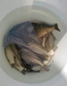 誘魚燈釣魚神器黑科技水下聚魚燈專用夜釣超聲波聲納誘魚器全自動 買2送1【百米魚群全都來】 曬單實拍圖