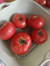 京鮮生沙瓤粉西紅柿 凈重3斤 單果100g+果菜兩吃 源頭直發(fā) 【搜生鮮館】 曬單實(shí)拍圖