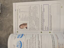 【新華書店正版】適用初中八年級上冊英語書人教版初二上冊英語課本正版教材教科書八上英語書8年級上冊英語八年級上 八年級上冊英語課本 曬單實拍圖