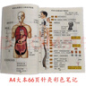A4大本倪海廈中醫書(shū)籍人紀針灸大成筆記黃帝內經(jīng)彩色圖文版 A4針灸圖文筆記（彩色66頁(yè)） 倪海廈版 曬單實(shí)拍圖
