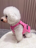MIKI PAD狗狗衣服小型犬夏季薄款衣服戶外馬甲春秋透氣泰迪比熊可牽引 玫紅馬甲 XL胸圍45cm（參考體重9-11斤） 曬單實(shí)拍圖