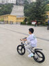 飛鴿兒童自行車(chē)6-8-10-12歲青少年自行車(chē)學(xué)生12到18歲變速山地自行車(chē) 變速+一體輪+月光銀+98%已安裝 20寸【適合身高130cm-155cm】 曬單實(shí)拍圖