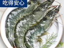 海之幫新鮮大蝦 活凍海蝦 16-18厘米鮮活速凍 3斤(凈重) 曬單實(shí)拍圖