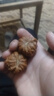 彩荷文玩核桃小白獅子淶水核桃手把件古玩麻核桃 曬單實(shí)拍圖