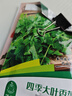 花沃里香菜種子2包約10g 調(diào)味菜四季蔬菜種子大全陽(yáng)臺(tái)盆栽/庭院田間種籽 曬單實(shí)拍圖