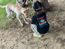 豬爸爸寶寶拖鞋男童熊貓夏季家居?jì)胗變号『④浀追阑瑑和炊葱?160 曬單實(shí)拍圖