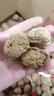 【6.6w 人收藏25年新貨】云南百年純古樹(shù)丑核桃高山野生薄皮孕婦 云南古樹(shù)老品種薄皮核桃3斤 薄皮生態(tài)果精品果（留言送夾） 曬單實(shí)拍圖