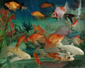奈寵魚(yú)缸換水神器清洗吸水器魚(yú)糞吸便器虹吸管洗沙器抽糞吸屎抽水清理 【換水器基礎版】1.7米 曬單實(shí)拍圖