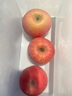 正宗煙臺(tái)蘋果棲霞紅富士蘋果水果脆甜新鮮水果整箱生鮮山東特產(chǎn) 凈重4.5斤75mm 曬單實(shí)拍圖