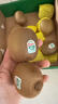 佳沛（zespri）新西蘭  陽光金奇異果16粒禮盒經(jīng)典果單果約 77-103g 水果 獼猴桃 曬單實(shí)拍圖