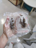 康悅堂 大連即食海參大連底播遼刺參鮮食海參冷凍正宗遼刺參海鮮水產(chǎn) 500g 20-25頭 7a 簡裝 曬單實(shí)拍圖