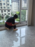 深度保潔 日常家庭保潔 擦窗擦玻璃 大掃除 京東上門到家廚房衛(wèi)生間保潔 鐘點(diǎn)工小時(shí)工北京上海廣州深圳 深度保潔含擦玻璃5小時(shí) 曬單實(shí)拍圖