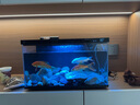 米家（MIJIA）智能生態(tài)魚缸定時(shí)喂食智能魚缸+畫法幾何增氧泵套裝 曬單實(shí)拍圖