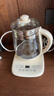 九陽(yáng)（Joyoung）0膠水養(yǎng)生壺 1.5L煮茶器 玻璃花茶壺 316不銹鋼燒水壺電熱水壺 WY301 曬單實(shí)拍圖