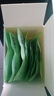 小海故事 有機(jī)壓縮海帶絲 凈含量16g*10片/盒 源頭直發(fā) 小圓餅高泡發(fā)免洗 曬單實(shí)拍圖