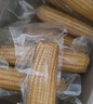 王老寶東北黃糯玉米  甜糯玉米棒 新鮮真空包裝加熱  即食黏玉米 迷你小黃糯10支(單只150g-180g） 曬單實拍圖