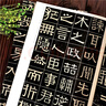 伊秉綬光孝寺虞仲翔祠碑蘇文忠公朝云墓志 清代隸書名家經(jīng)典 毛筆軟筆隸書臨摹字帖附繁體旁注高清放大墨跡 曬單實(shí)拍圖