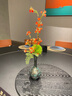 綠有意綠蘿盆栽室內(nèi)植物花卉綠植水培長(zhǎng)藤垂吊大葉綠籮新房家用吸除甲醛 120綠加倫吸水綠蘿10盆+壺+10肥 帶盆帶土發(fā)貨 曬單實(shí)拍圖